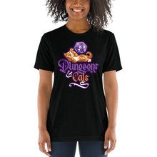 Load image into Gallery viewer, Dungeons and Cats Tri-Blend T-Shirt