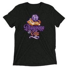 Load image into Gallery viewer, Dungeons and Cats Tri-Blend T-Shirt