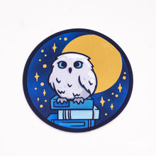 Load image into Gallery viewer, Bookish &amp; Beyond Stickers