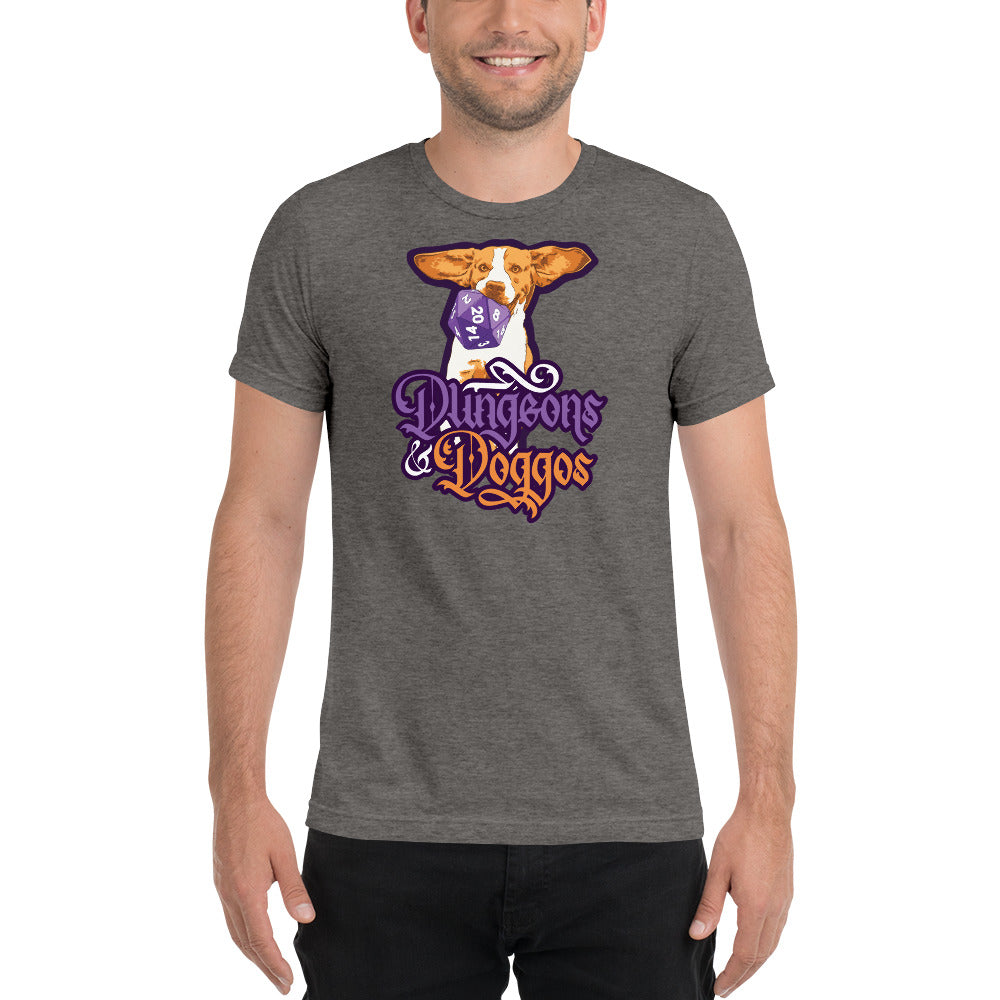 Dungeons and Doggos Tri-Blend T-Shirt