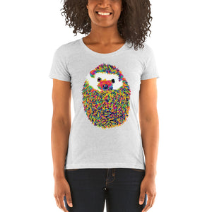 The Rainbow Hedgehog Women's Tri-Blend T-Shirt