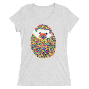 The Rainbow Hedgehog Women's Tri-Blend T-Shirt
