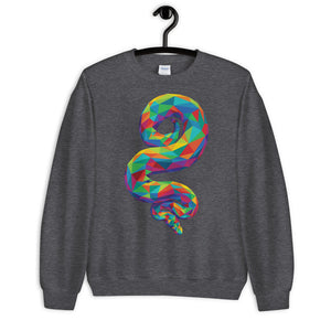 Rainbow Geo Snake Unisex Sweatshirt