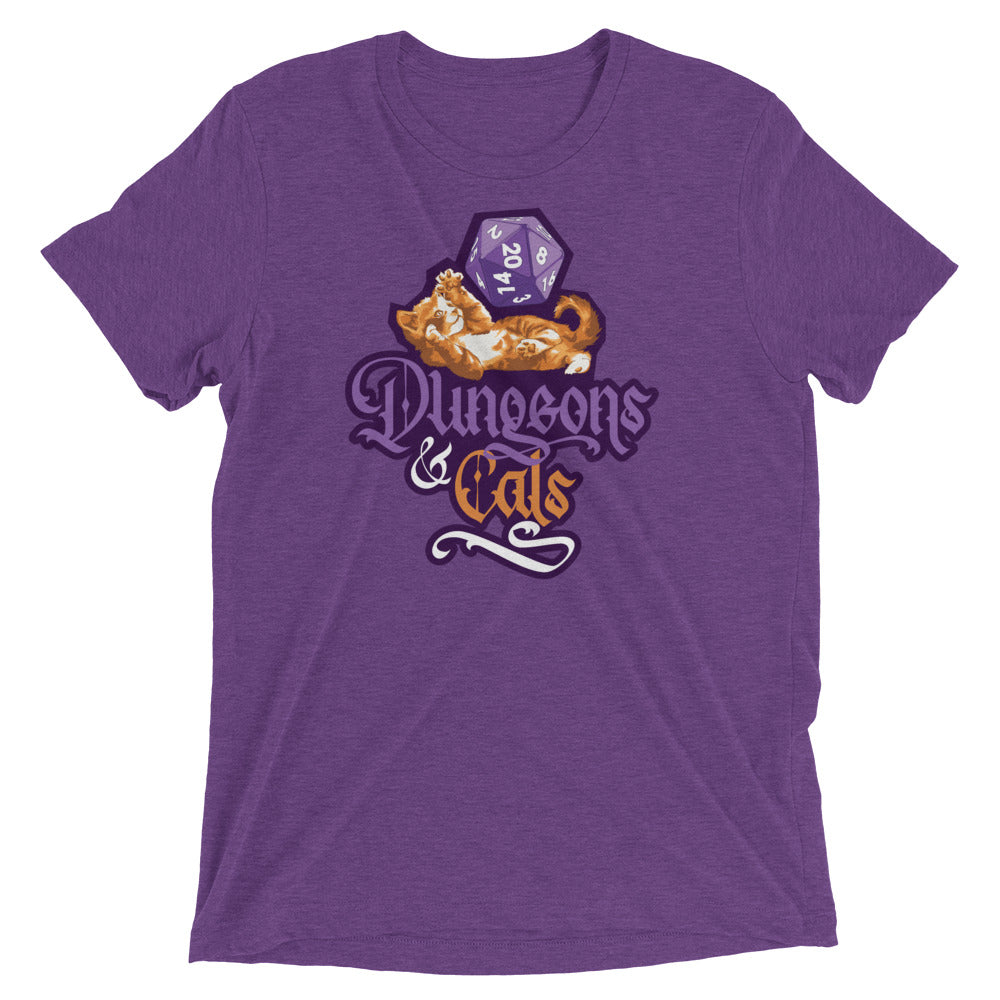 Dungeons and Cats Tri-Blend T-Shirt