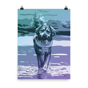 Aqua Dog Poster