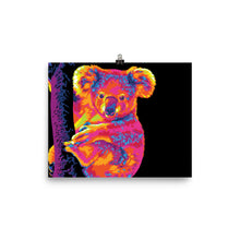 Load image into Gallery viewer, The Warm Rainbow Koala Poster