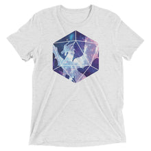 Load image into Gallery viewer, Dragon&#39;s D20 Tri-Blend T-Shirt