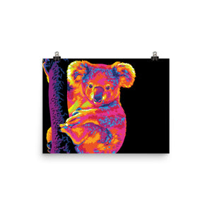 The Warm Rainbow Koala Poster