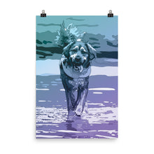 Load image into Gallery viewer, Aqua Dog Poster