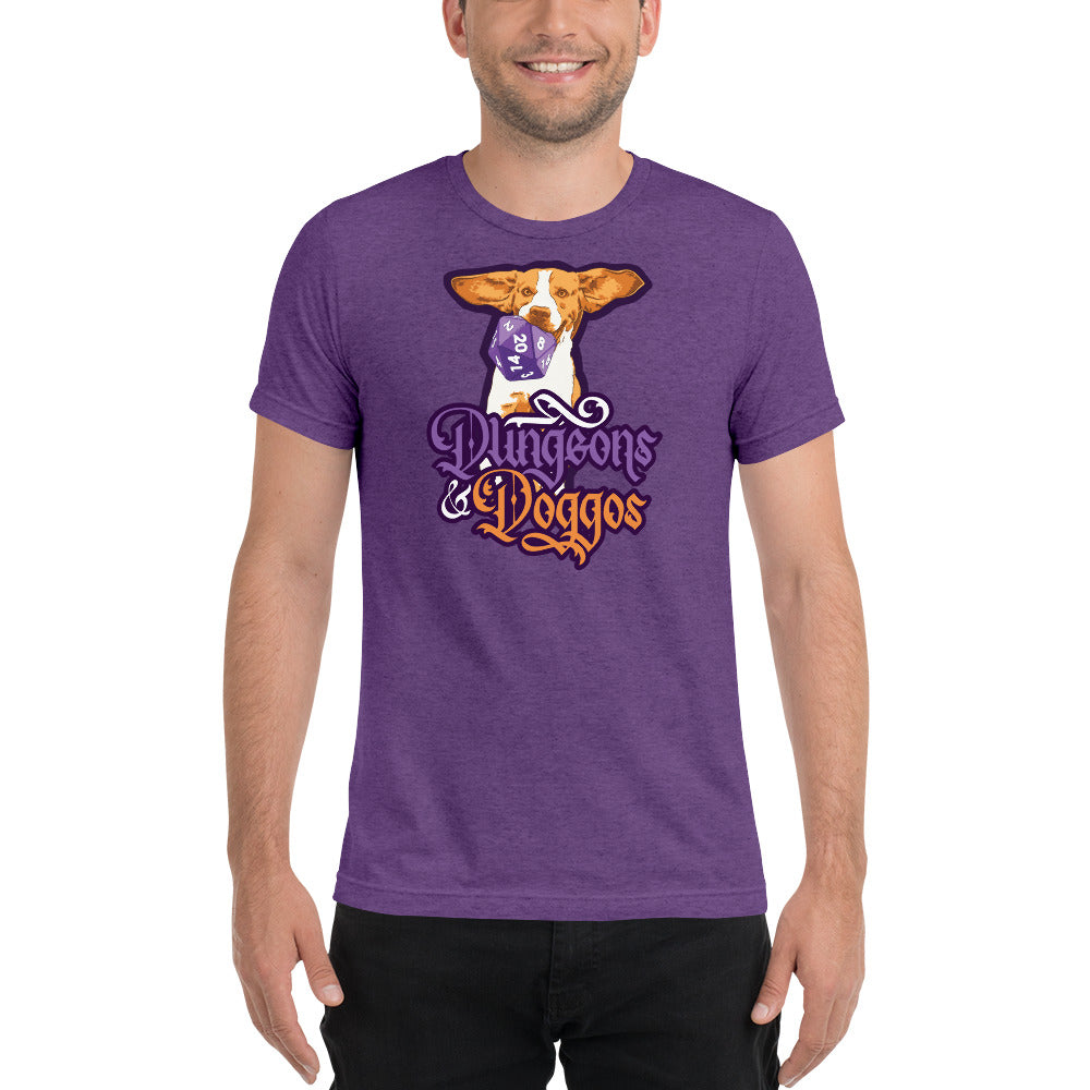Dungeons and Doggos Tri-Blend T-Shirt