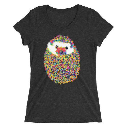 The Rainbow Hedgehog Women's Tri-Blend T-Shirt