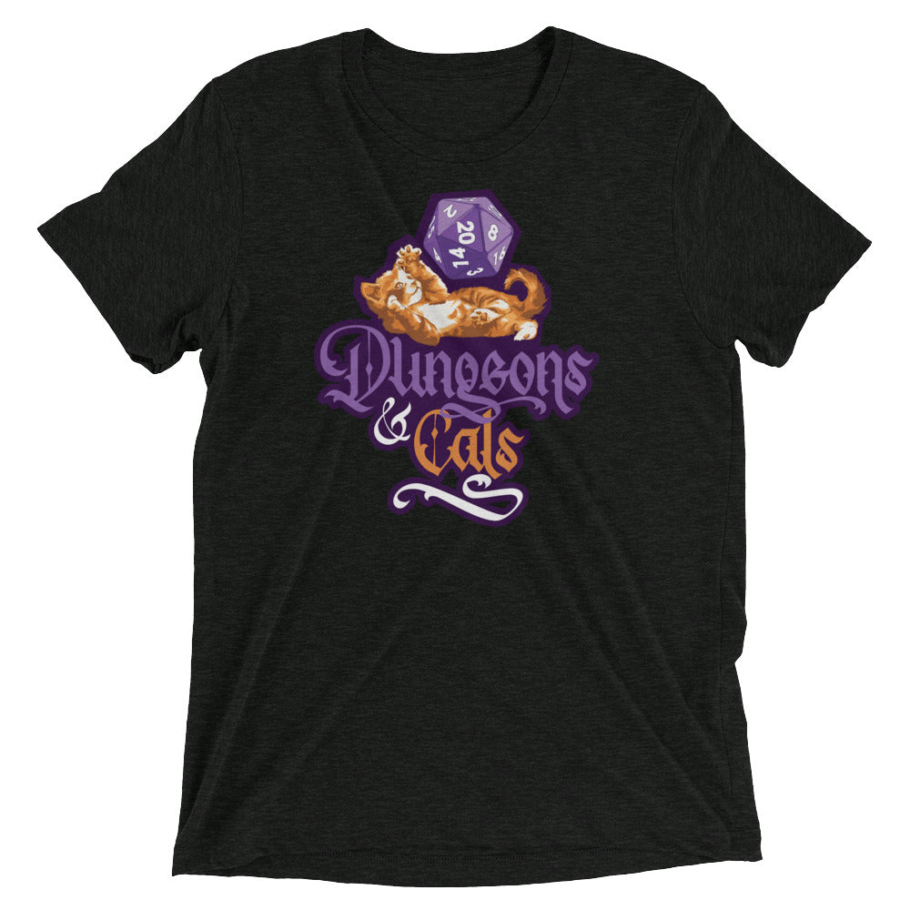 Dungeons and Cats Tri-Blend T-Shirt