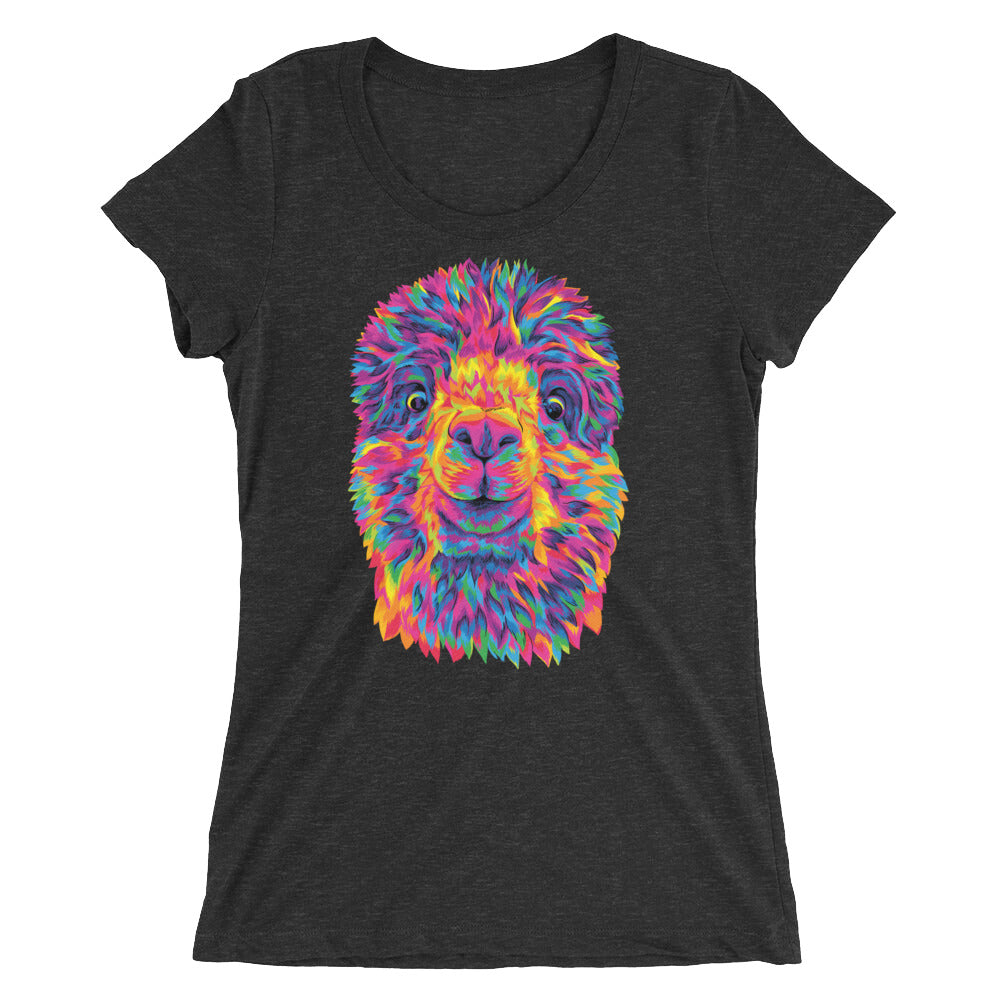 The Rainbow Alpaca Women's Cut Tri-Blend T-Shirt